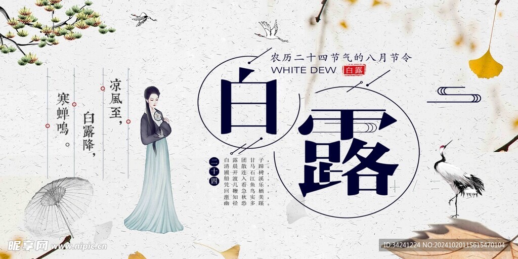 白露节气宣传海报展板