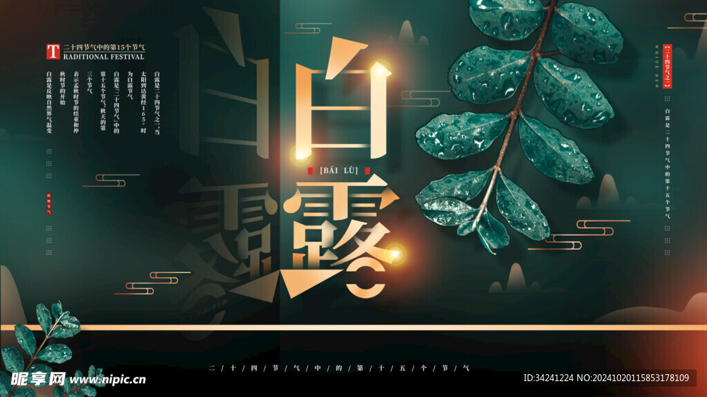 白露节气宣传海报展板