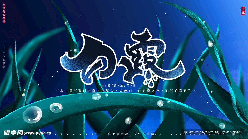 白露节气宣传海报展板