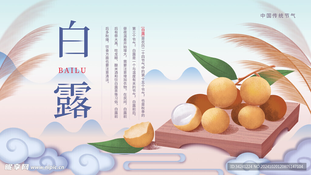 白露节气宣传海报展板