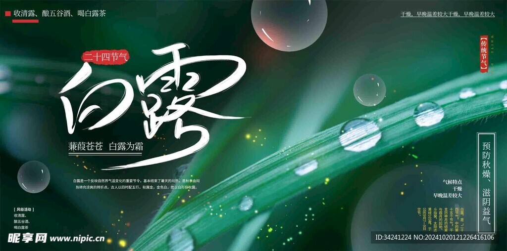 白露节气宣传海报展板