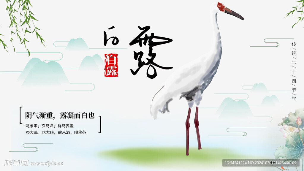 白露节气宣传海报展板