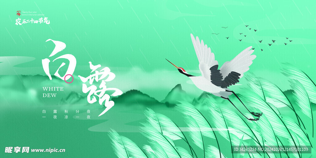 白露节气宣传海报展板