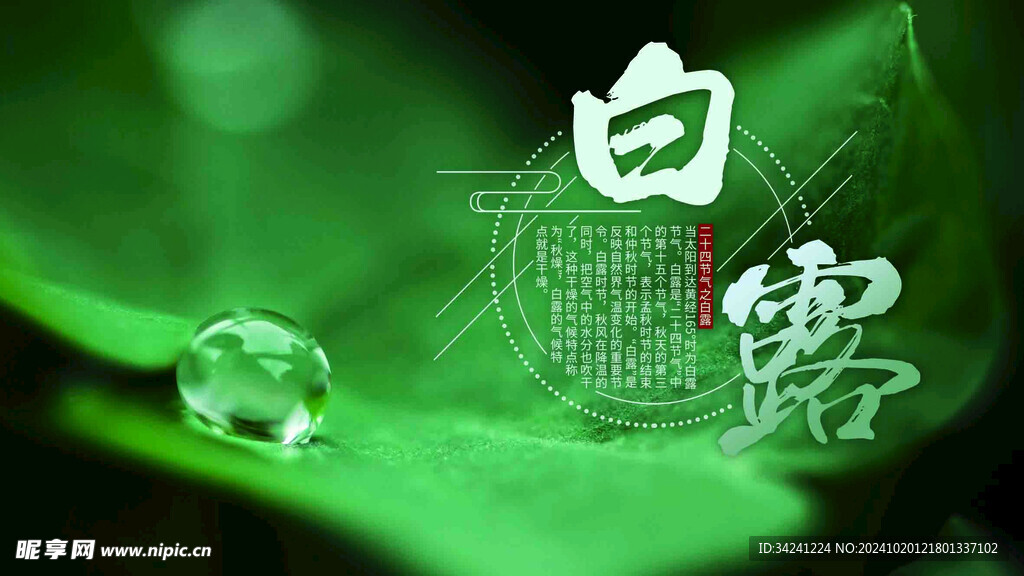 新中式白露 白露海报 白露广告