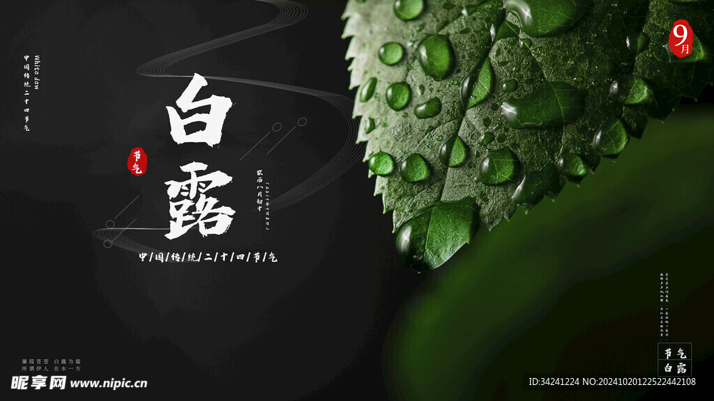 白露节气宣传海报展板