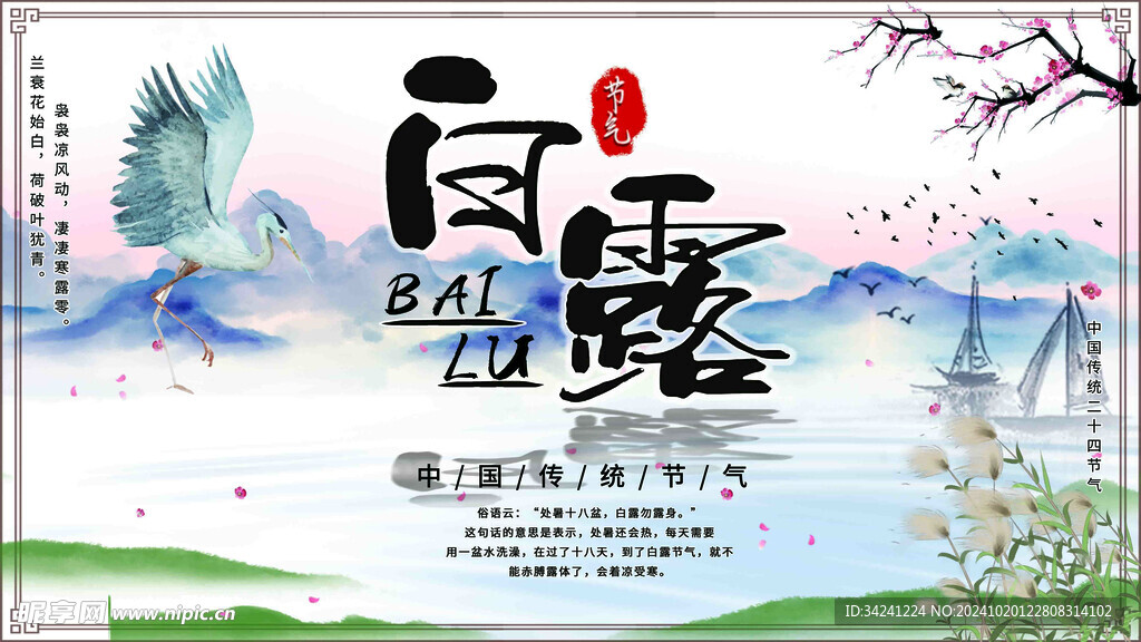 白露节气宣传海报展板