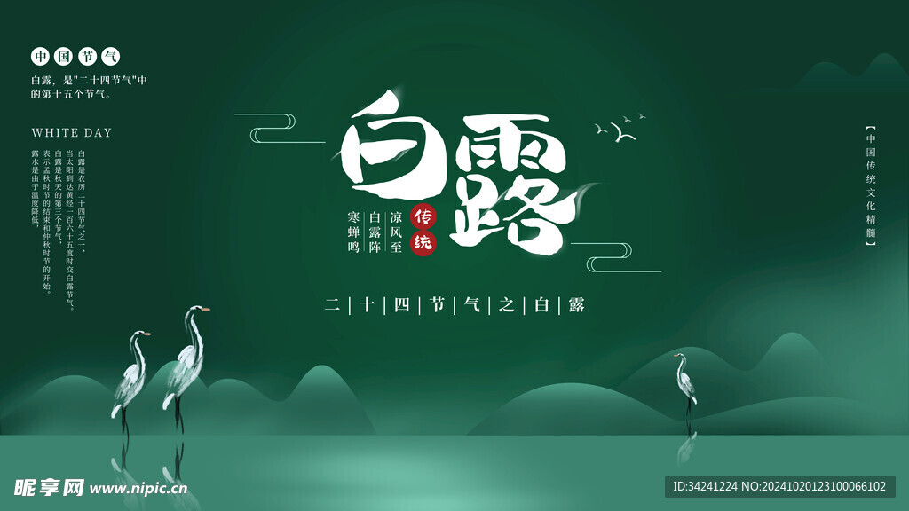 白露节气宣传海报展板