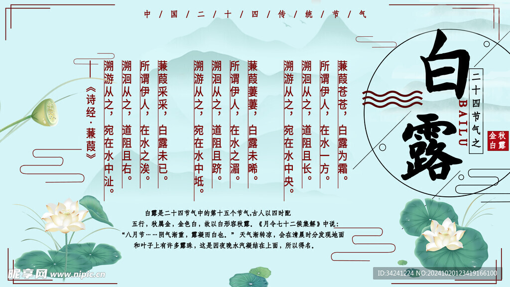 白露节气宣传海报展板