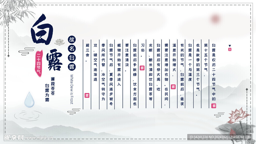 白露节气宣传海报展板