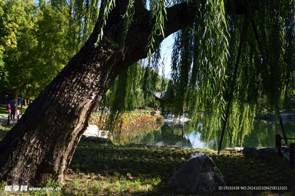 公园风景 