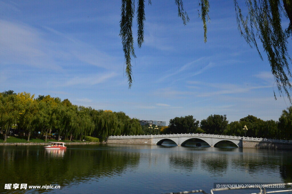 公园风景  