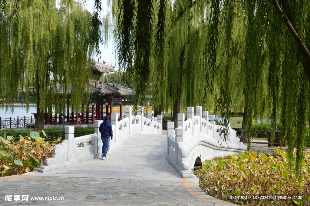 公园风景  