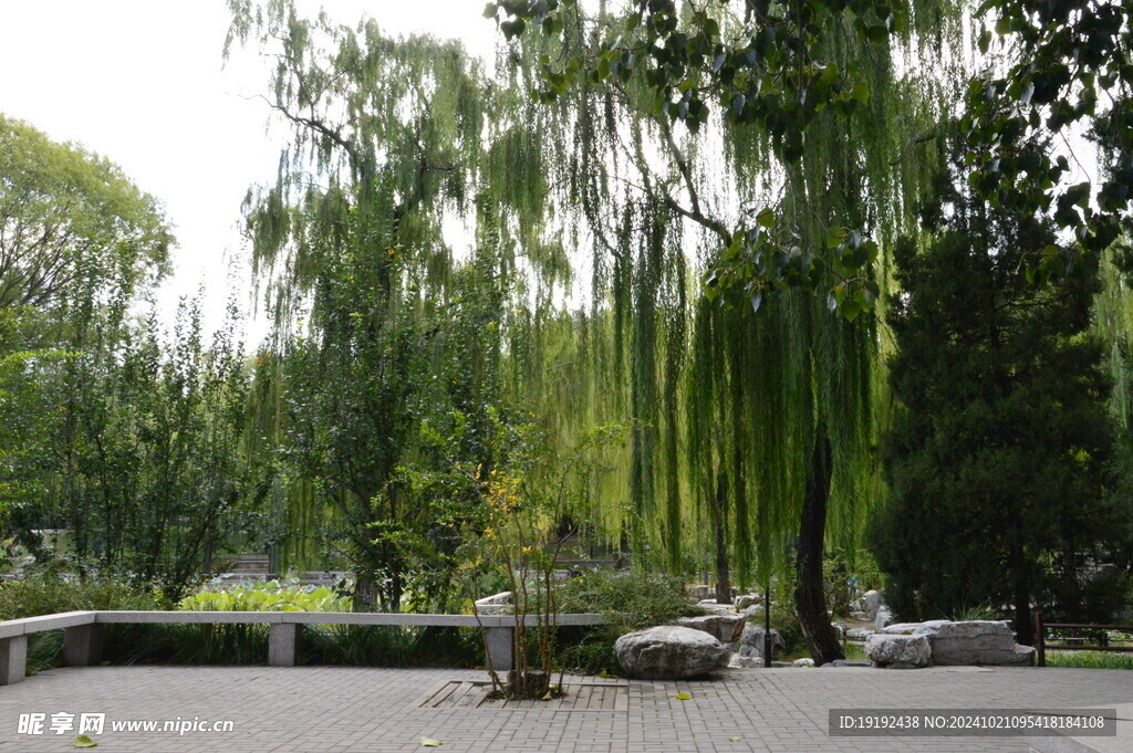 公园风景  