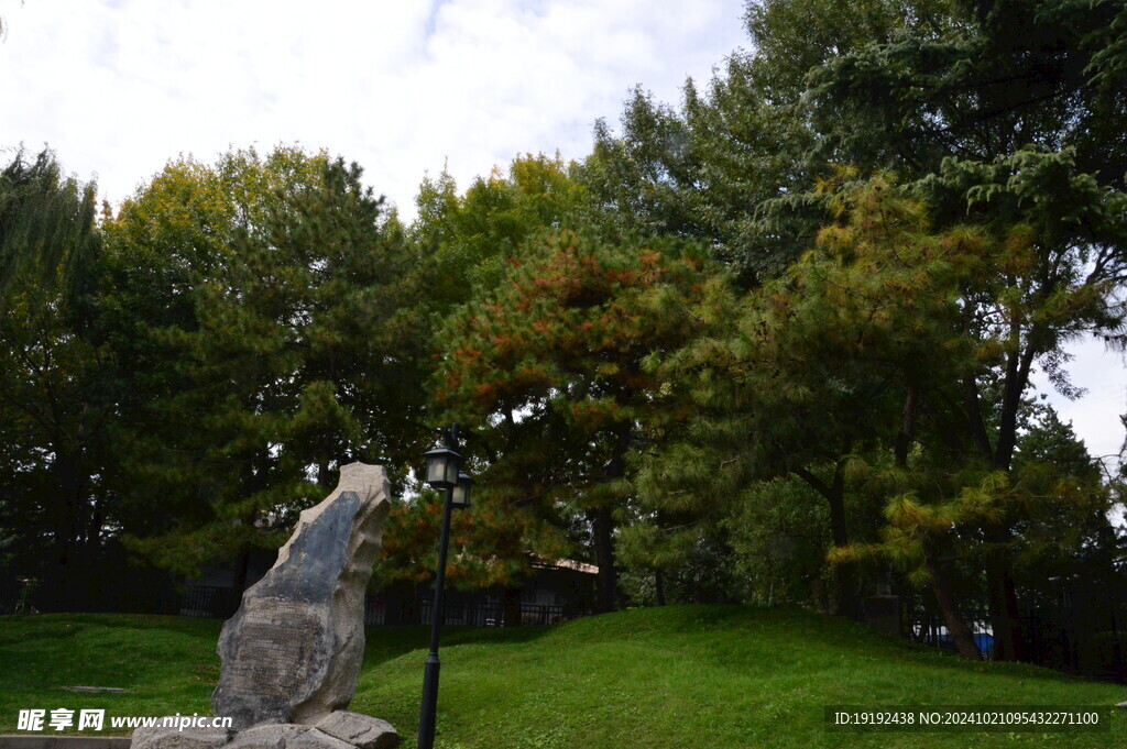 公园风景  