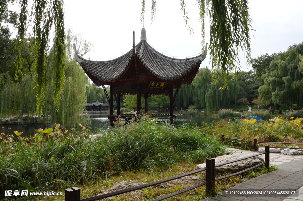 公园风景  