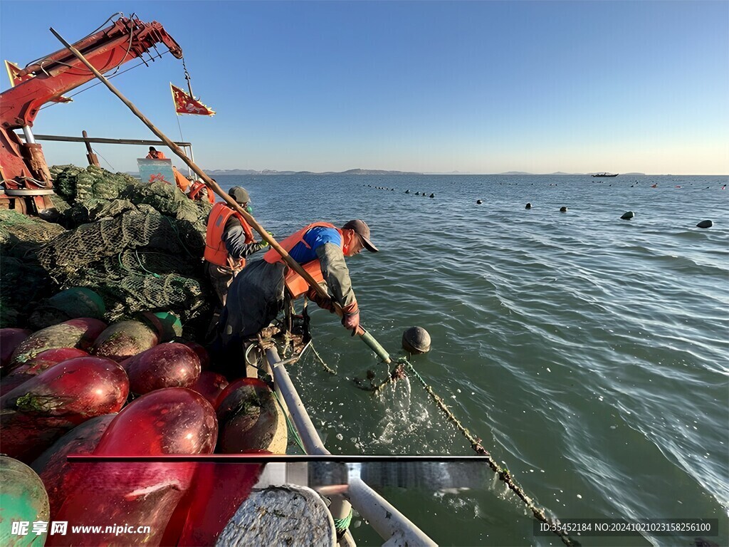 生蚝捕捞