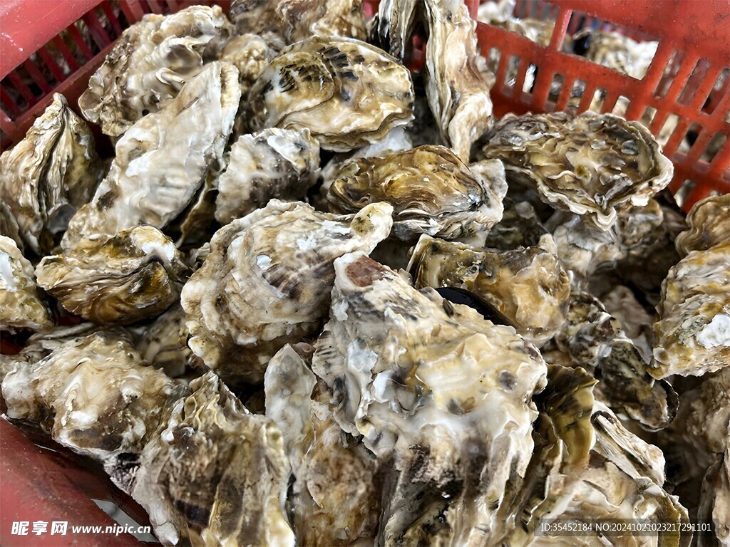 生蚝