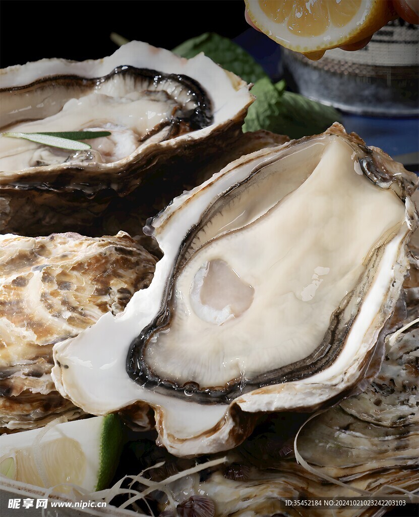 生蚝