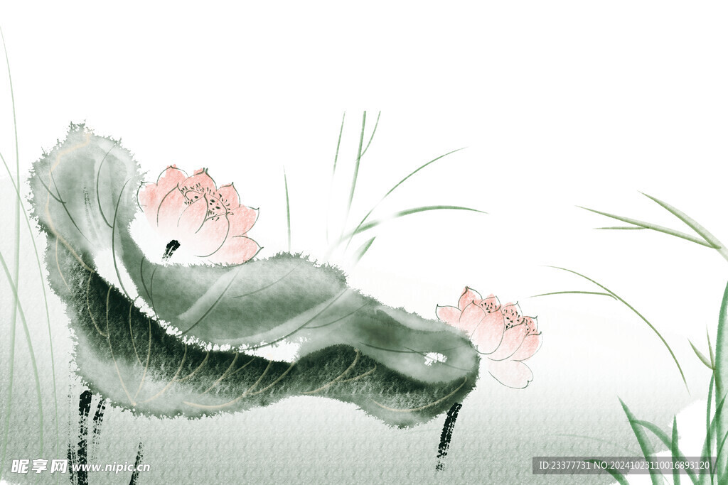 荷花水墨画