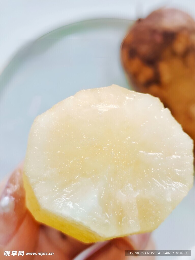 雪莲果