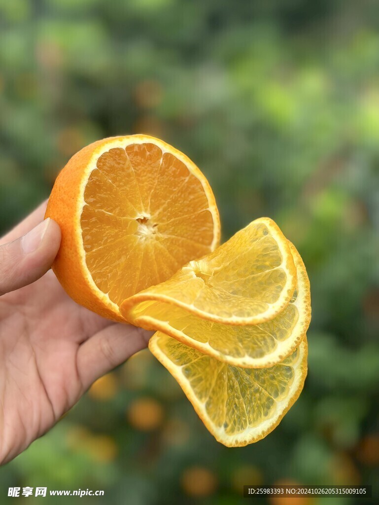 橙子