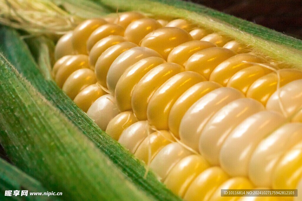 黄色玉米
