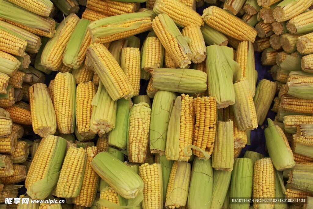 黄色玉米