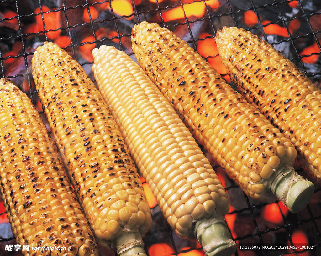 烤玉米 餐饮美食