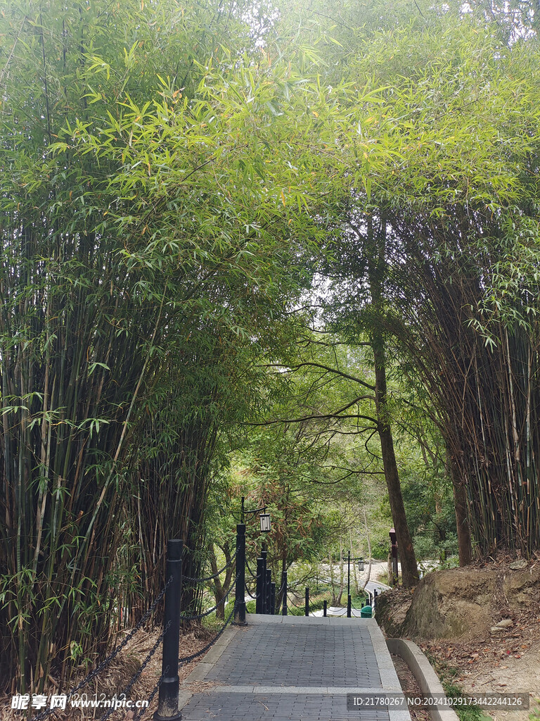 登山小道