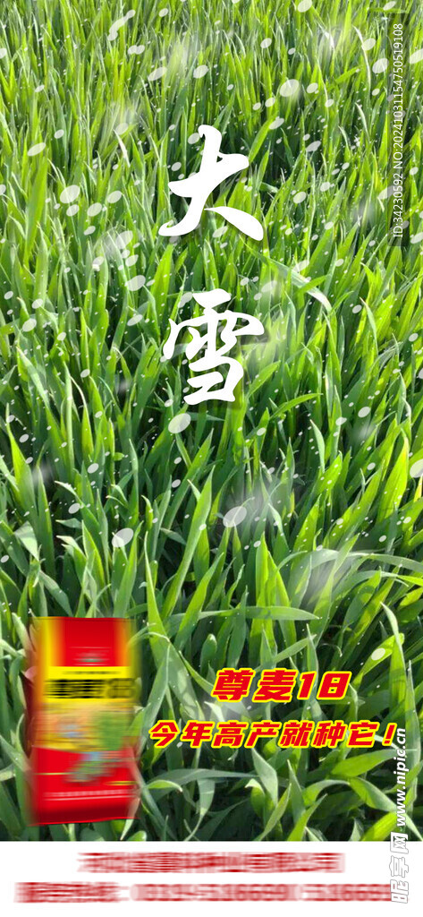 大雪海报