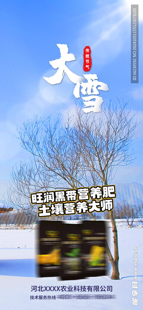 大雪海报