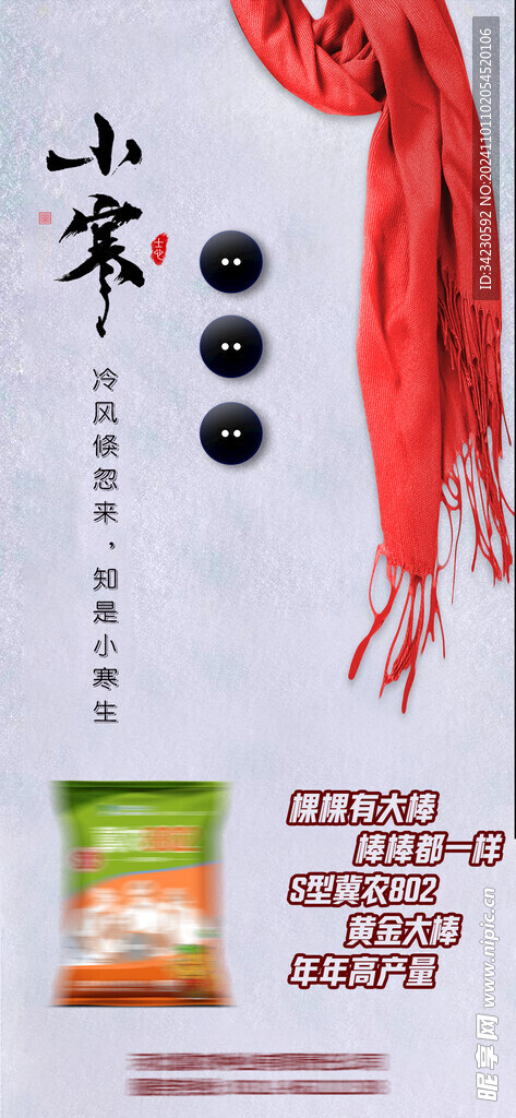 小寒海报