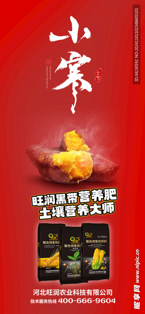 小寒海报