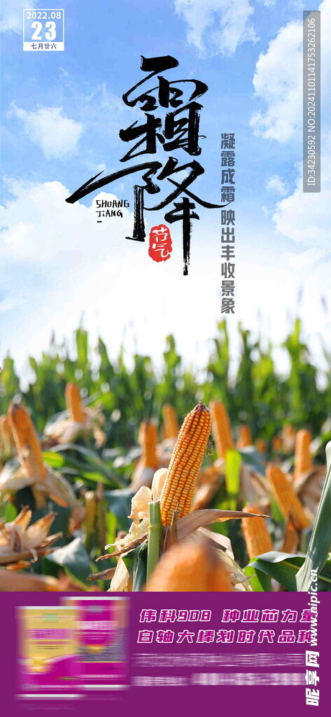 霜降