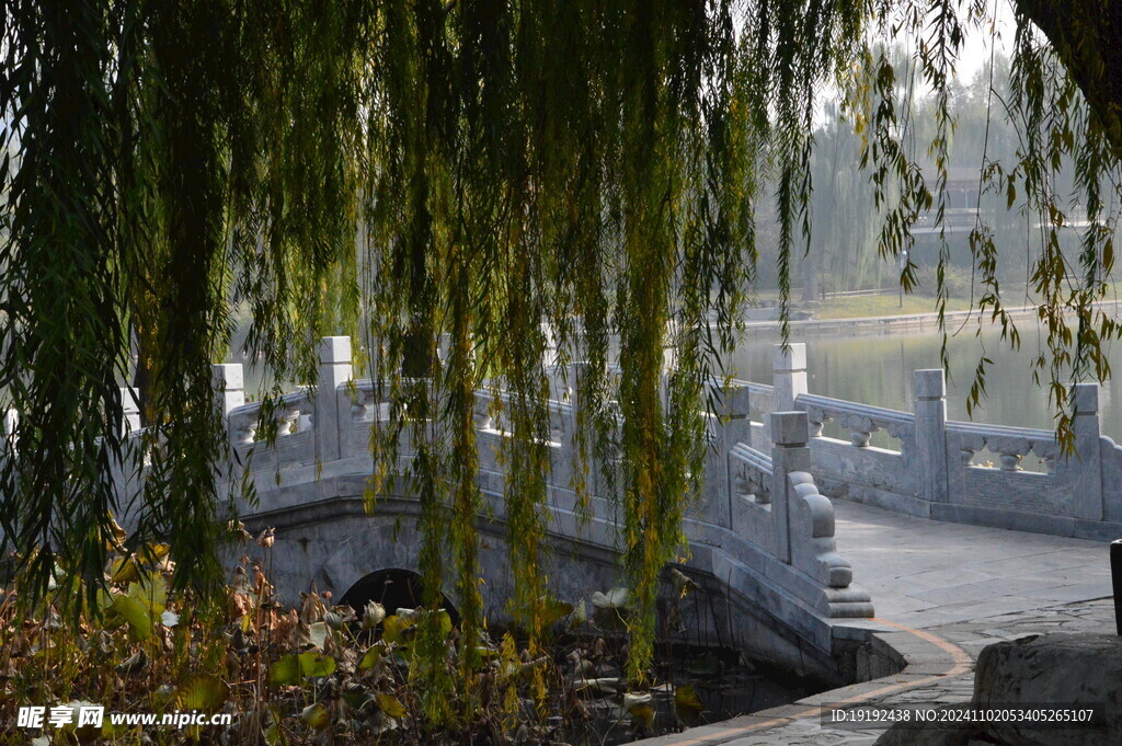公园风景 