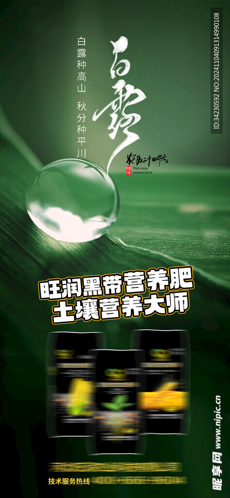白露