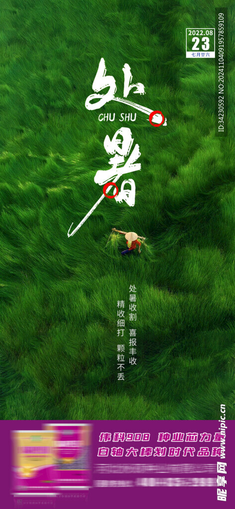 处暑