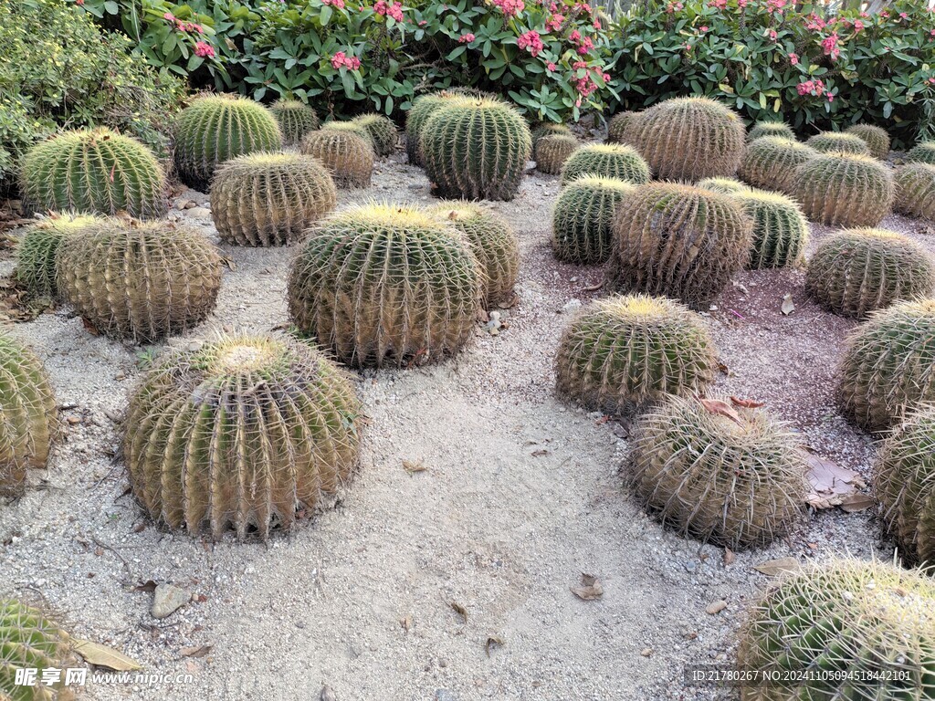 植物园
