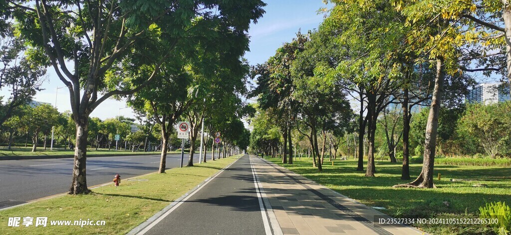 漂亮的光明新城街道