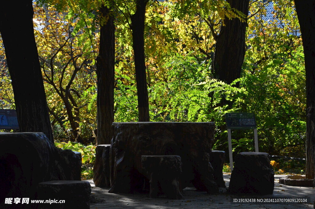 公园风景  