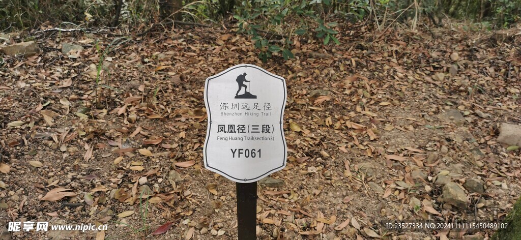  凤凰径三段YF061