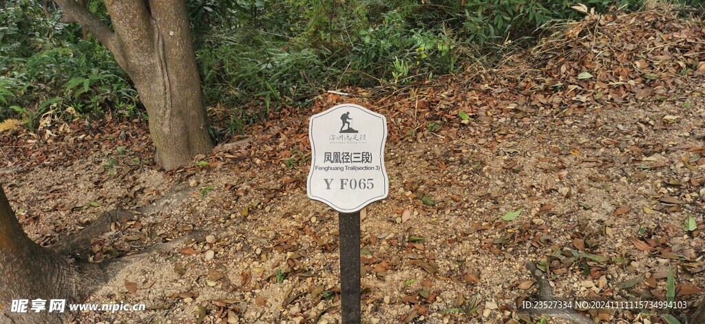 凤凰径三段YF065 