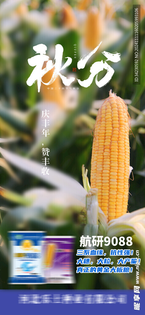 秋分