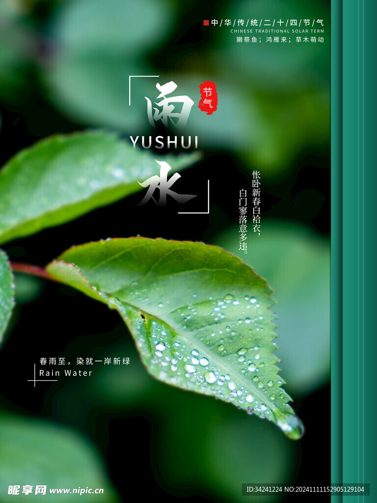 雨水节海报展板素材