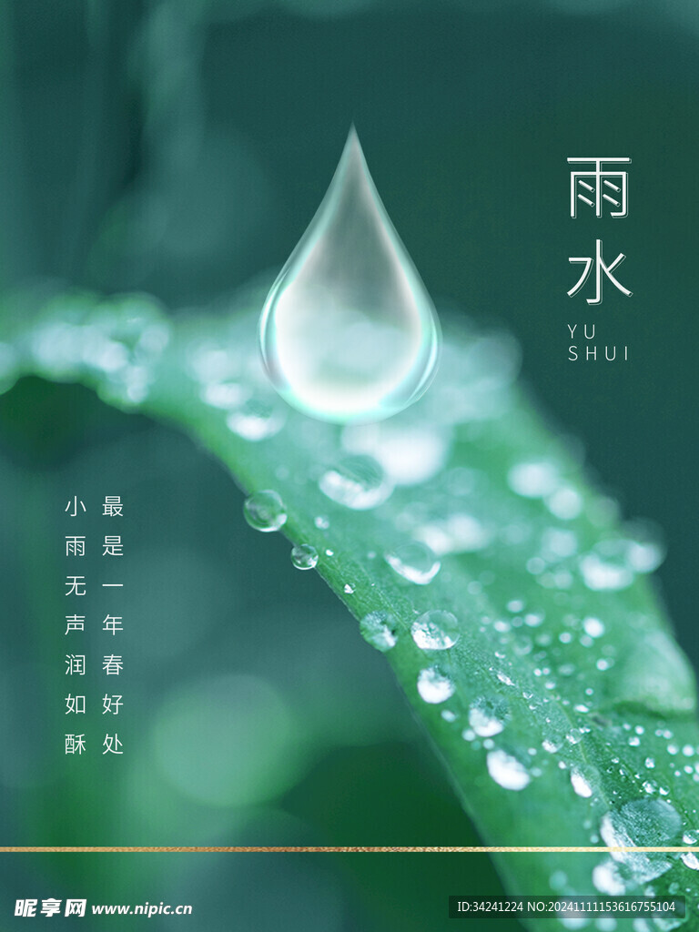 雨水节海报展板素材