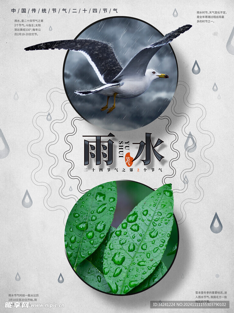 雨水节海报展板素材