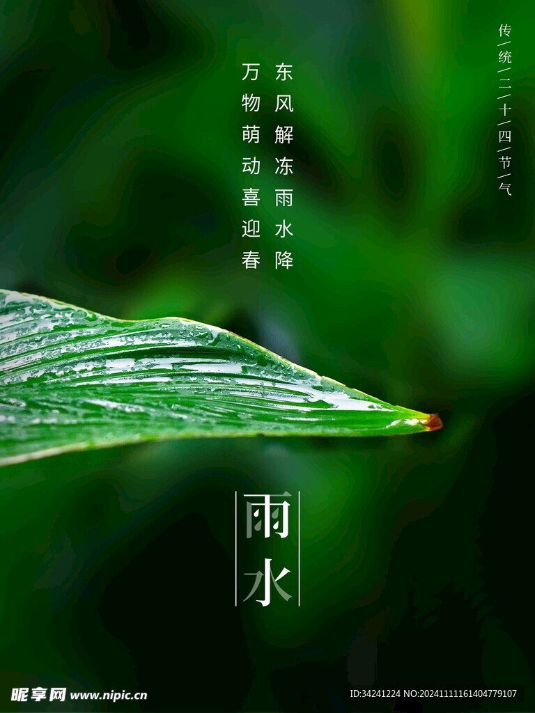 雨水节海报展板素材