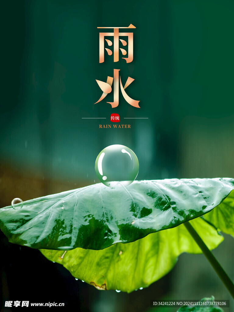 雨水节海报展板素材