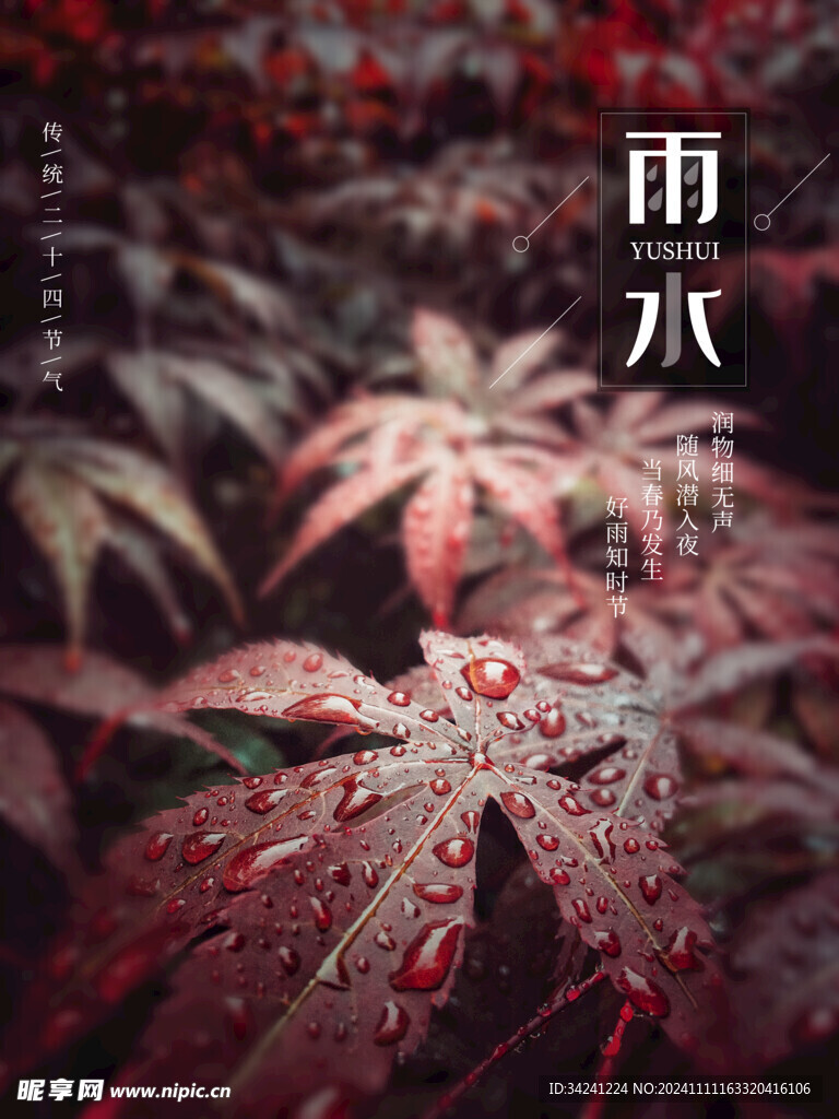 雨水节海报展板素材