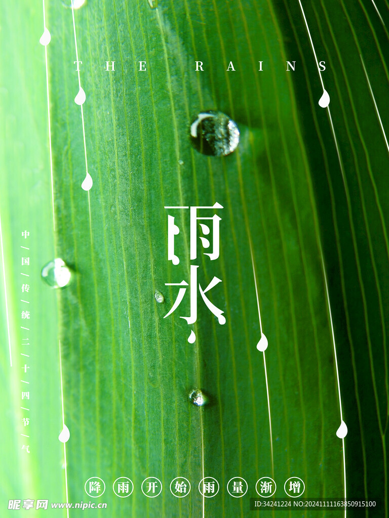 雨水节海报展板素材